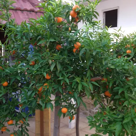 Aksaray Boutique Hotel Nicosia Exterior photo