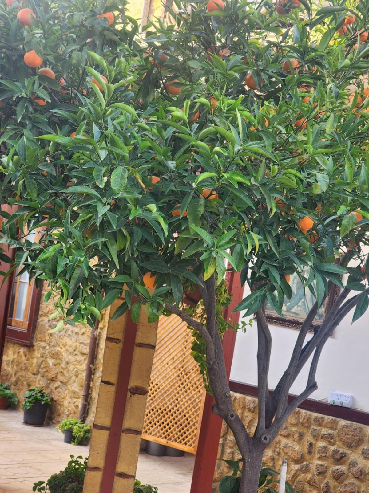 Aksaray Boutique Hotel *